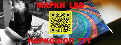 СК Кингисепп