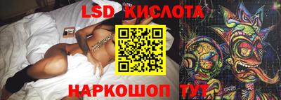 СК Кингисепп