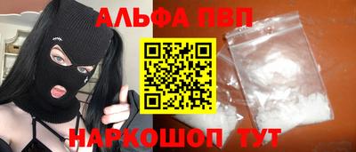 СК Кингисепп