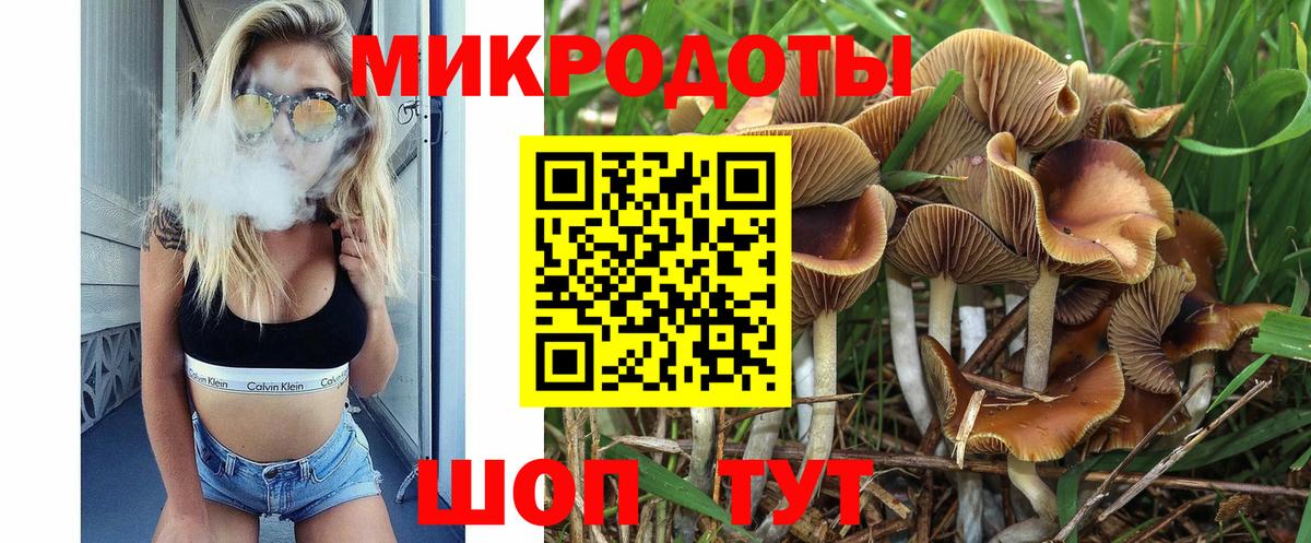 Юрга  Псилоцибиновые грибы прущие грибы  Вход с VPN 